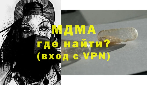 индика Архангельск